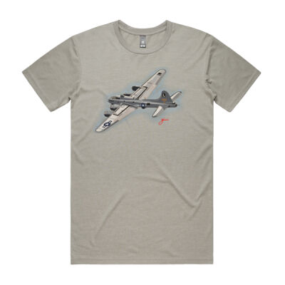 B-17 Over Poland Thumbnail