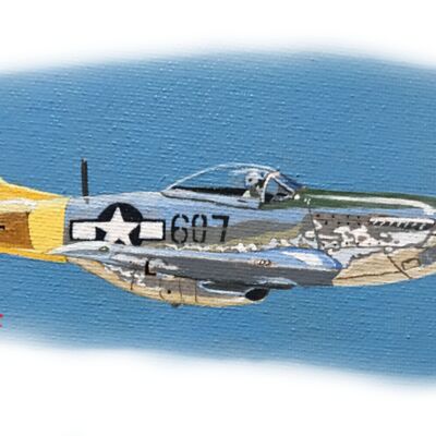 Mustangfin Thumbnail