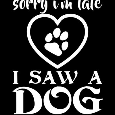 sorry i m late Thumbnail